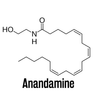 anadamine