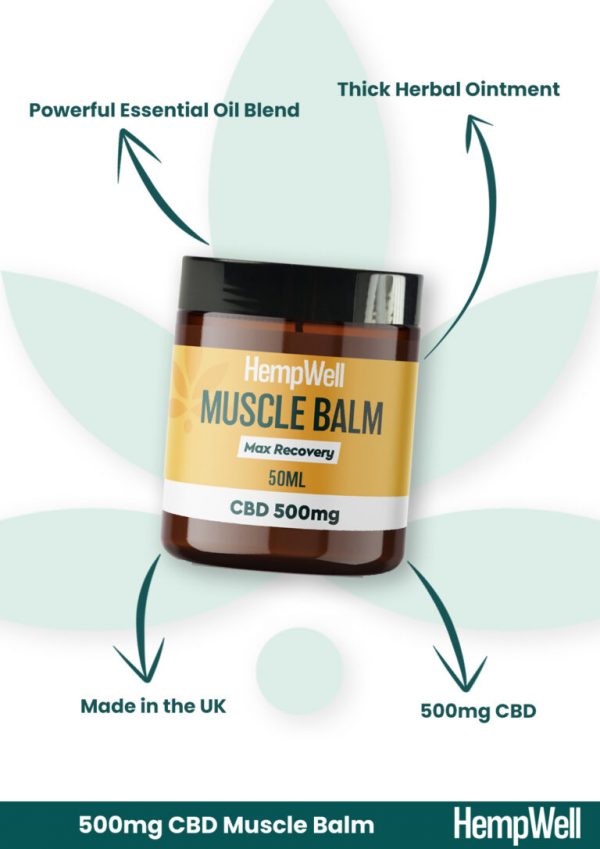 CBMuscleBalm500mg 2