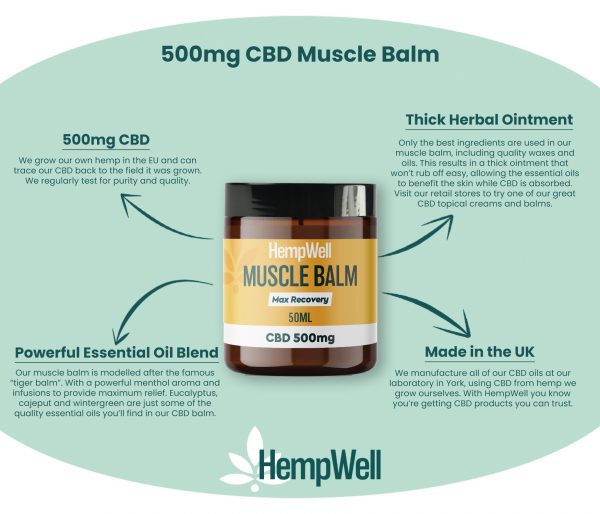 CBMuscleBalm500mginfo